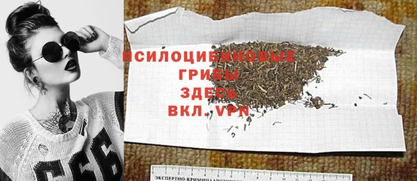 экстази Михайлов