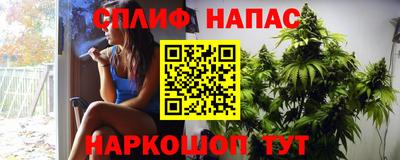 трава Камышлов