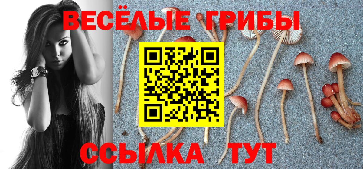 Псилоцибиновые грибы Cubensis  Вход с VPN  Красноуфимск 